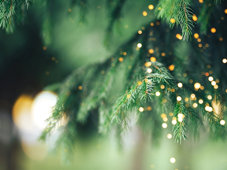 Wrapping Up A Morden Christmas